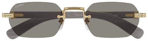 Cartier CT 0362S 005
