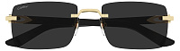 Cartier CT 0579S 005
