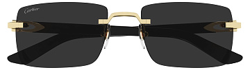 Cartier CT 0579S 005