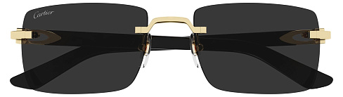 Cartier CT 0579S 005