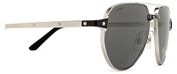 Cartier CT 0425S 004