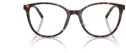 Dolce & Gabbana DG 3425 502