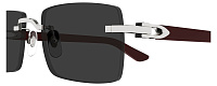 Cartier CT 0579S 006