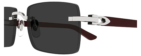 Cartier CT 0579S 006
