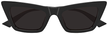 Bottega Veneta BV 1446S 001