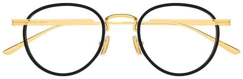 Bottega Veneta BV 1389S 006