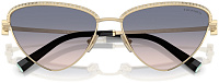 Tiffany & Co TF 3107KB 622116
