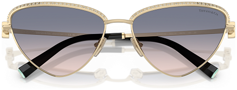 Tiffany & Co TF 3107KB 622116