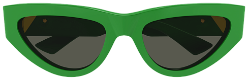 Bottega Veneta BV1176S 003