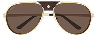 Cartier CT 0296S 005