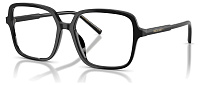 Dolce & Gabbana DG 3442 501