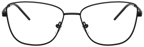 Emporio Armani EA 1172 3001