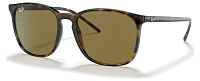 Ray-Ban RB 4387 710/73