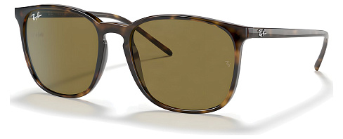 Ray-Ban RB 4387 710/73