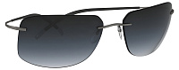Silhouette 8698 6560