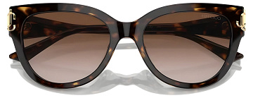 Jimmy Choo JC 5018U 500213