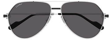 Cartier CT0334S 004