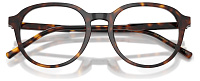 Dolce & Gabbana DG 3444 502
