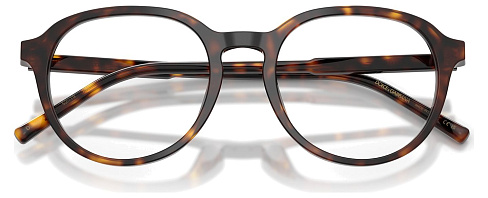 Dolce & Gabbana DG 3444 502