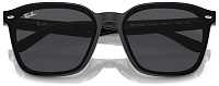 Ray-Ban RB 4392D 601/87
