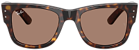 Ray-Ban RB 0840S 902/1A