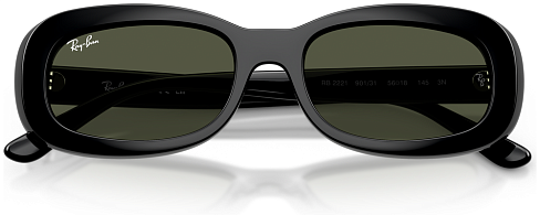 Ray-Ban RB 2221 901/31