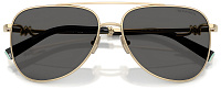 Tiffany & Co TF 3116 6021S4