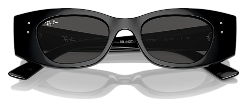Ray-Ban RB 4427 667787