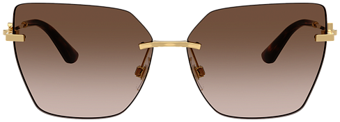 Dolce & Gabbana DG 2321 02/13