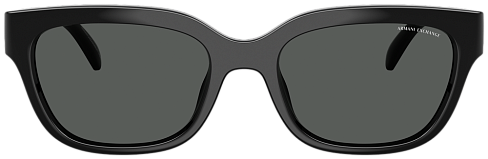 Armani Exchange AX 4155SU 815887