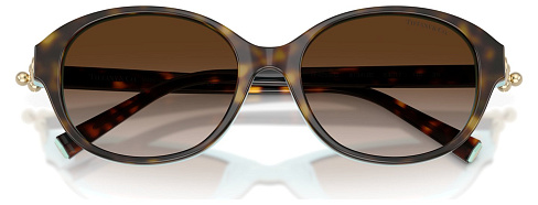 Tiffany & Co TF 4263D 81343B
