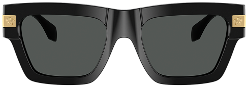 Versace VE 4464 GB1/87