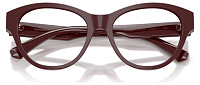 Burberry BE 2458 4119