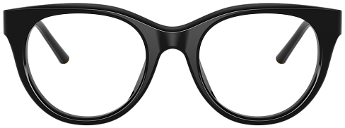 Dolce & Gabbana DG 3433 501