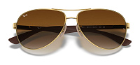 Ray-Ban RB 8313 001/51