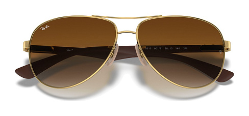 Ray-Ban RB 8313 001/51