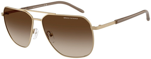 Armani Exchange AX 2057S 612113