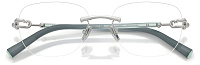 Tiffany & Co TF 1170D 6001