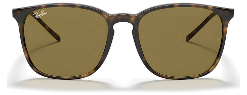 Ray-Ban RB 4387 710/73