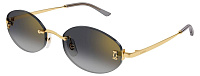 Cartier CT 0592S 001