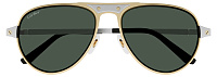 Cartier CT 0533S 002
