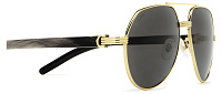 Cartier CT 0272S 001