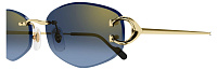 Cartier CT 0467S 002