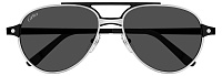 Cartier CT 0476S 004