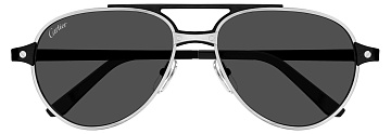 Cartier CT 0476S 004