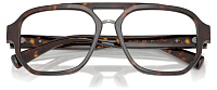 Dolce & Gabbana DG 3447 502