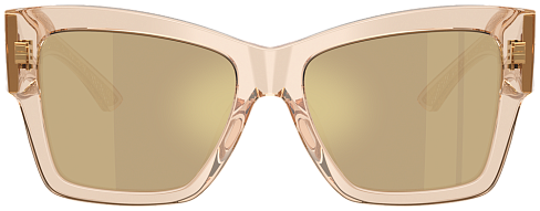 Dolce & Gabbana DG 4493 343203