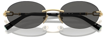 Tiffany & Co TF 3104D 6216S4