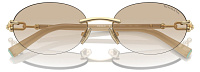 Tiffany & Co TF 3104D 617811