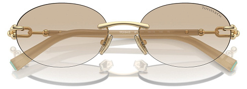 Tiffany & Co TF 3104D 617811